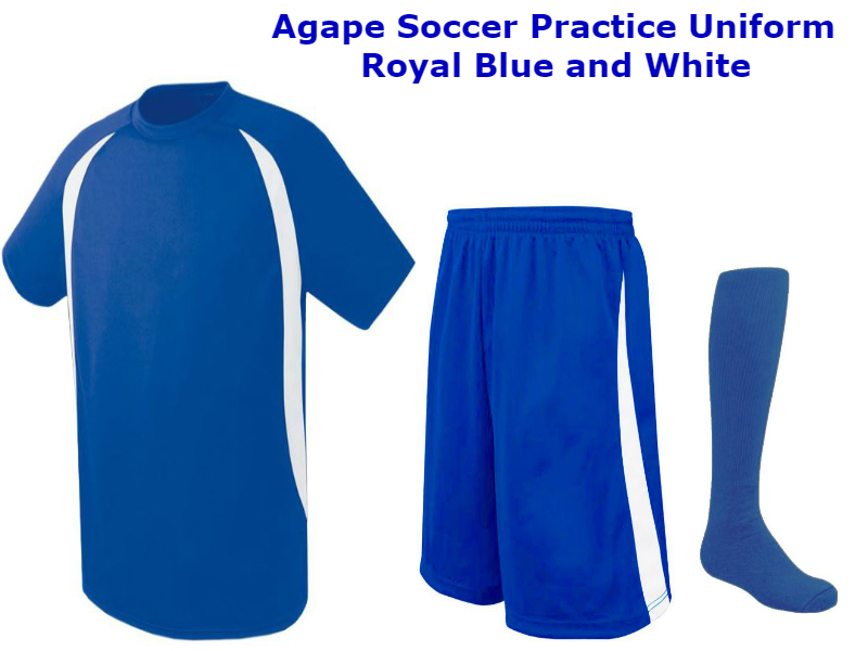 royal blue soccer jersey